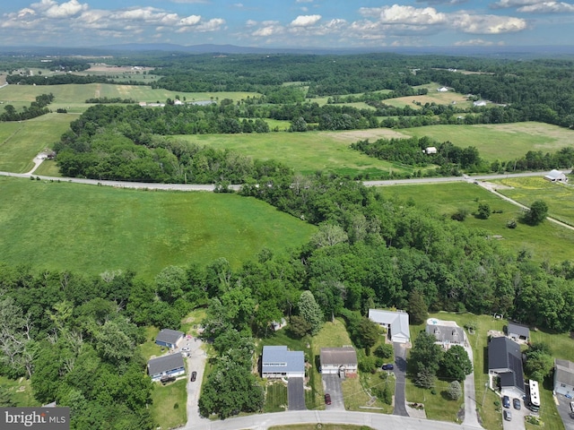 bird's eye view