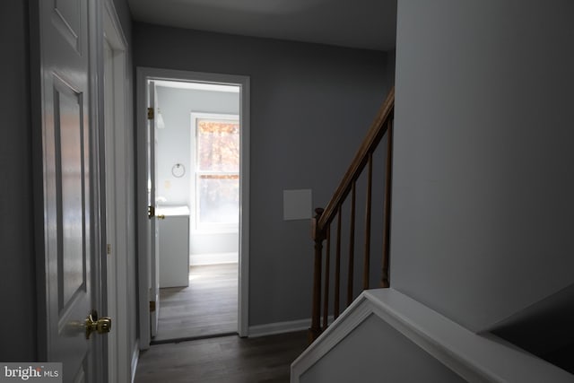 staircase featuring dark hardwood / wood-style flooring