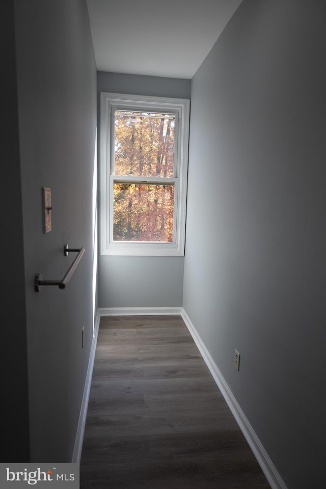 hallway with dark wood-type flooring