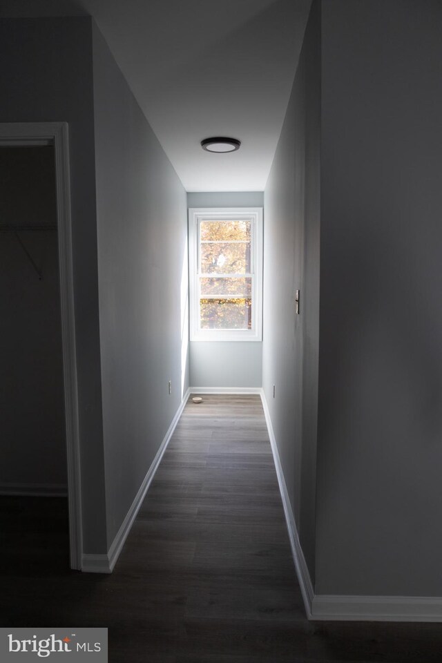 hall featuring dark wood-type flooring