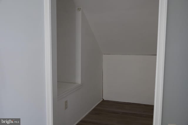 spacious closet with dark wood-type flooring and lofted ceiling