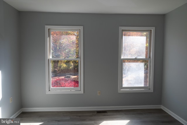 unfurnished room featuring a wealth of natural light and dark wood-type flooring