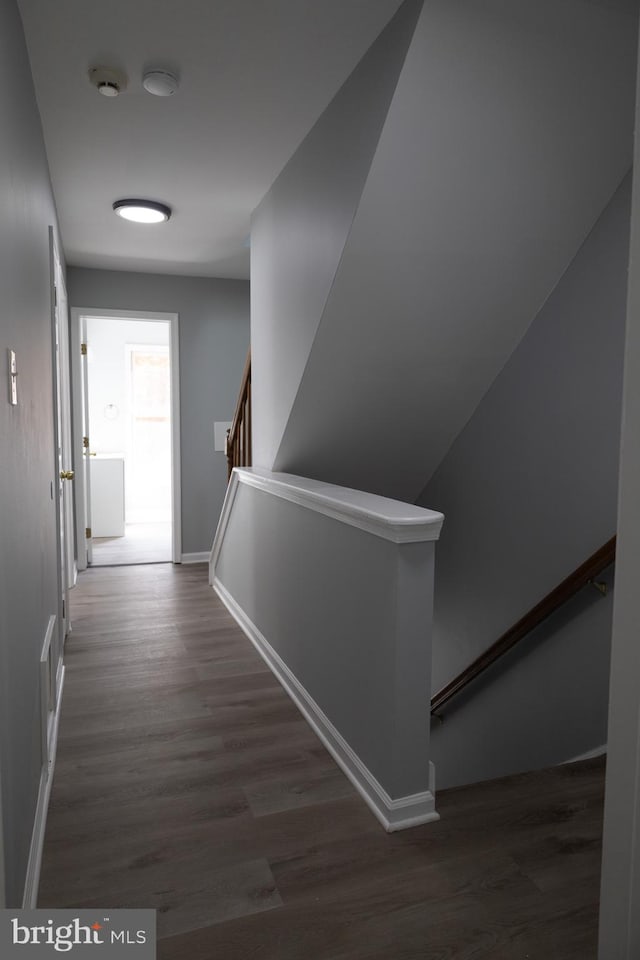 corridor featuring dark hardwood / wood-style floors