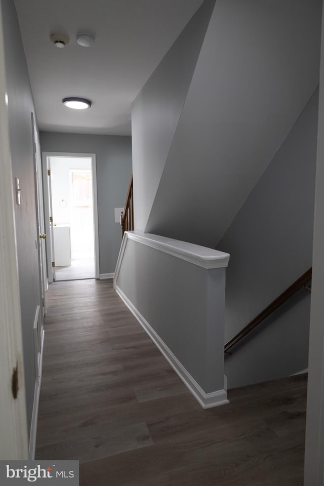 hall featuring dark hardwood / wood-style flooring