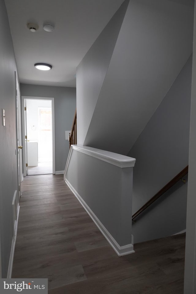 corridor featuring dark hardwood / wood-style floors