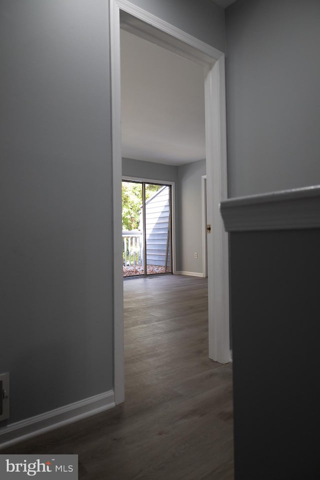 corridor featuring dark wood-type flooring