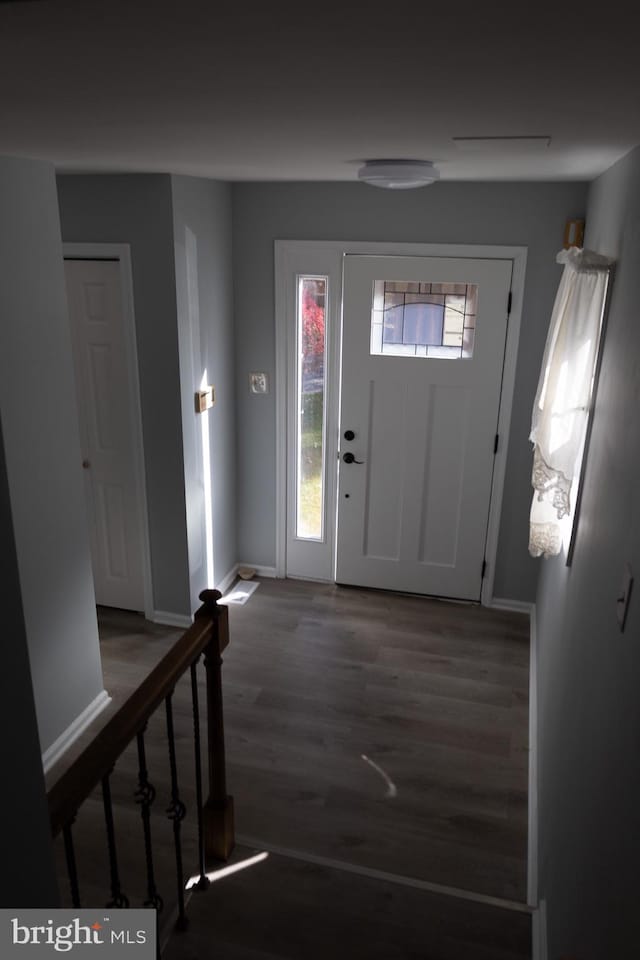 foyer with wood-type flooring