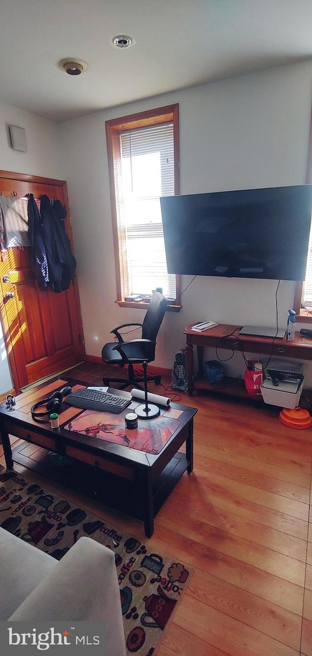 living room featuring hardwood / wood-style flooring