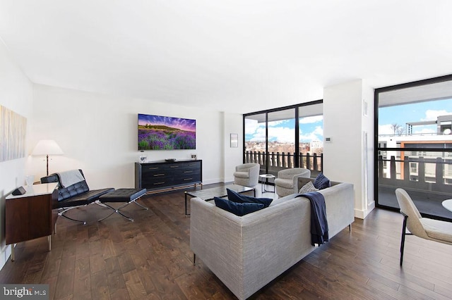 living room with dark hardwood / wood-style floors and a wall of windows