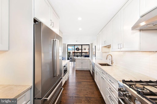 kitchen featuring dark hardwood / wood-style flooring, premium appliances, ventilation hood, sink, and white cabinetry