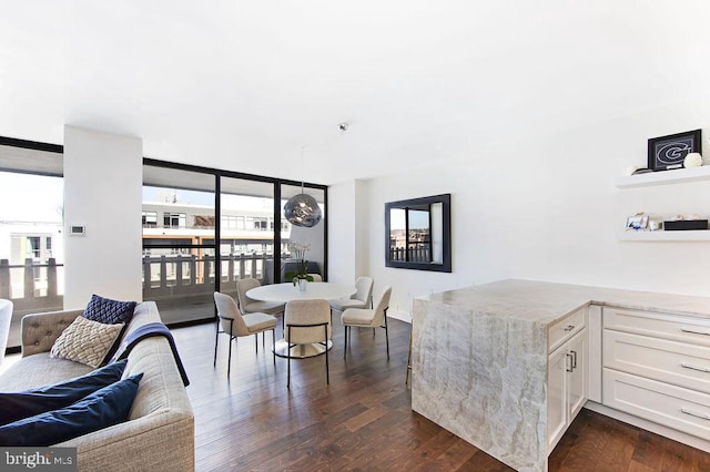 living room with dark hardwood / wood-style flooring, plenty of natural light, and floor to ceiling windows