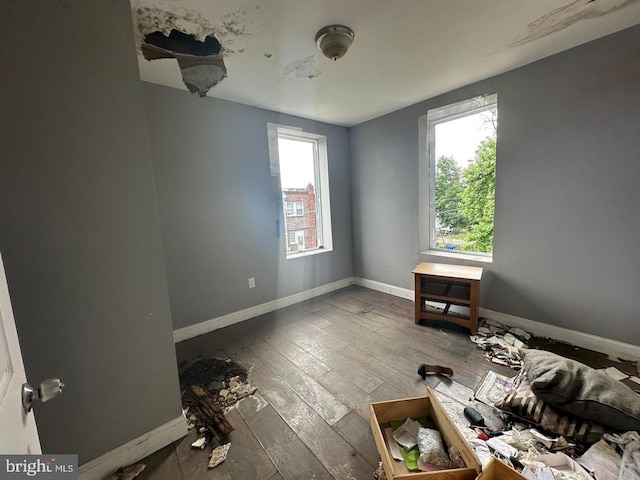 spare room with a wealth of natural light and hardwood / wood-style flooring