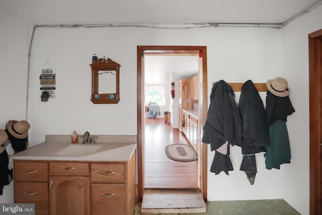 bathroom featuring hardwood / wood-style flooring and vanity