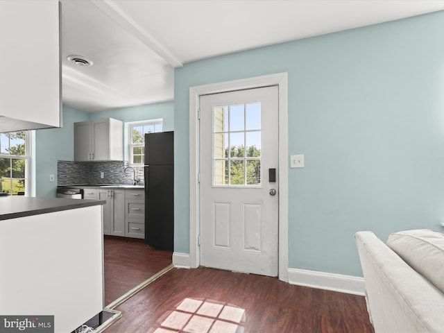 entryway with dark hardwood / wood-style floors, sink, and a wealth of natural light