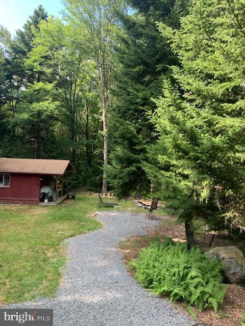 view of property's community featuring a yard and a carport