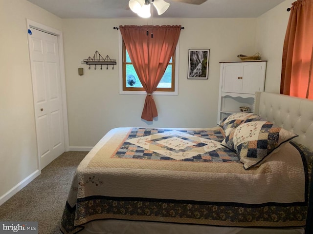 bedroom featuring carpet flooring