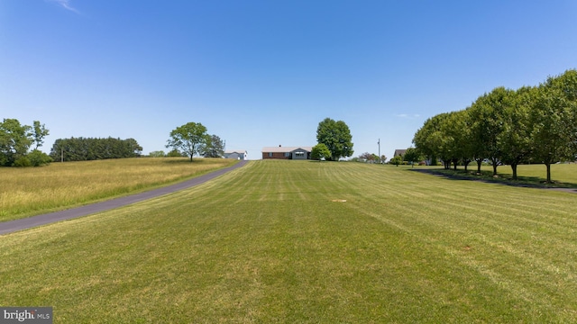 view of community with a yard