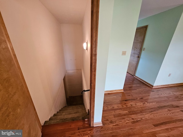 stairway with wood-type flooring