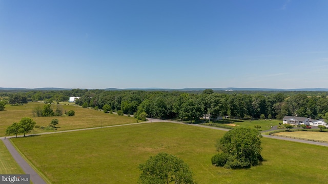 bird's eye view