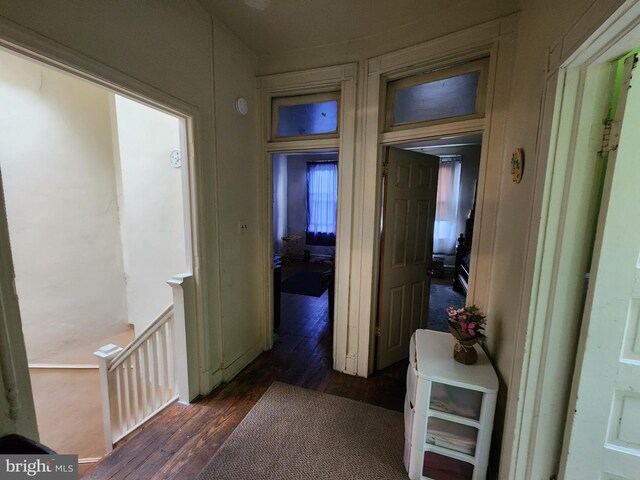 hallway with dark hardwood / wood-style floors