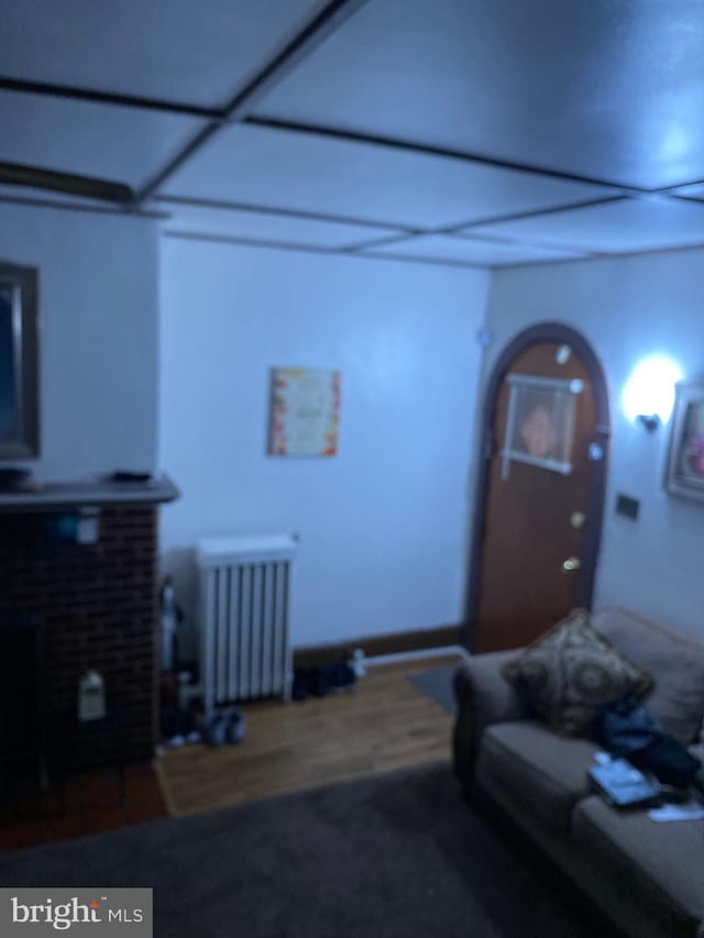 living room with radiator heating unit and wood-type flooring