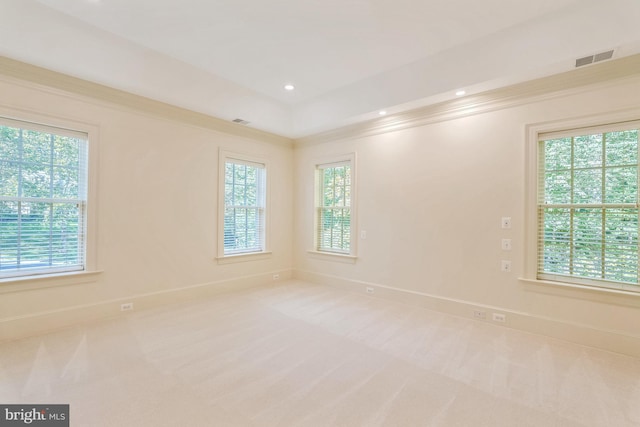 carpeted spare room featuring plenty of natural light and crown molding