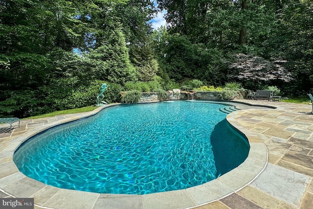 view of swimming pool with a patio