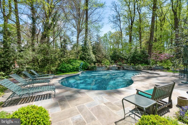 view of pool with a patio area