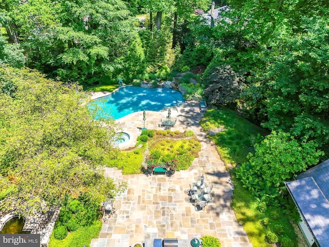 view of swimming pool with a patio area