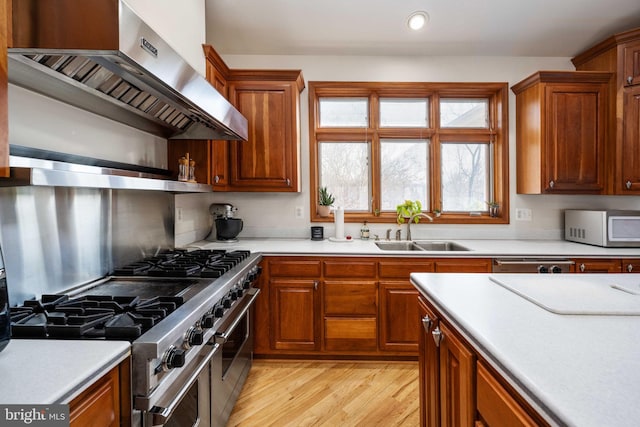 kitchen with appliances with stainless steel finishes, sink, light hardwood / wood-style flooring, and wall chimney exhaust hood