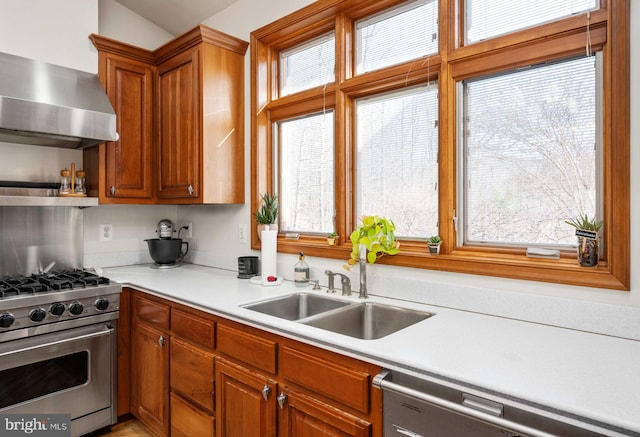 kitchen with plenty of natural light, wall chimney exhaust hood, sink, and appliances with stainless steel finishes