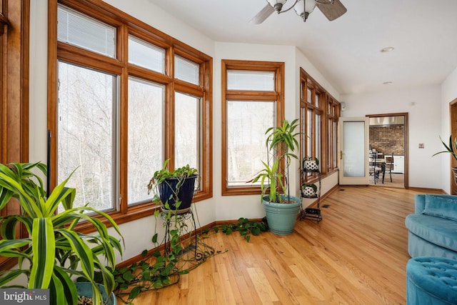 interior space featuring ceiling fan and light wood-type flooring