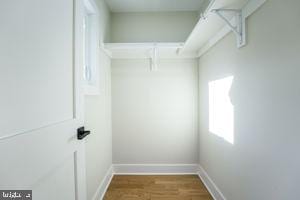 walk in closet with hardwood / wood-style flooring