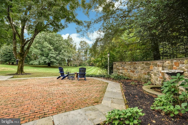 view of yard featuring a patio area