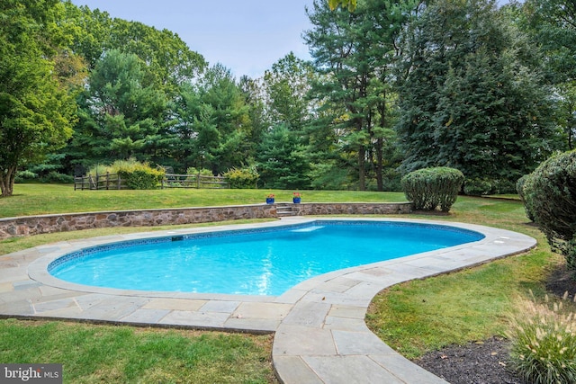 view of swimming pool with a lawn