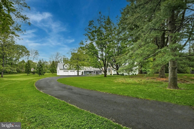 view of home's community with a lawn