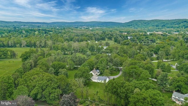 birds eye view of property with a mountain view