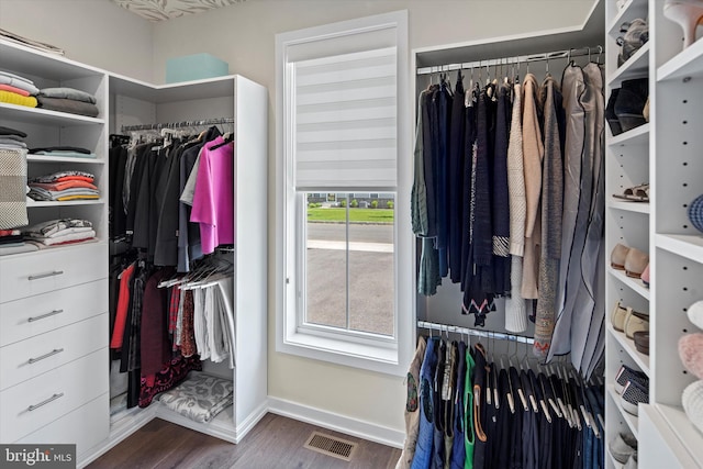 walk in closet with dark hardwood / wood-style flooring