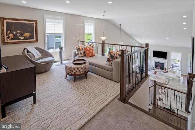 living room with vaulted ceiling and wood-type flooring