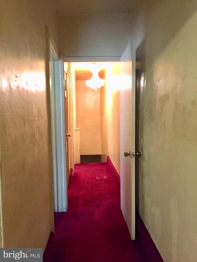 hallway featuring carpet flooring