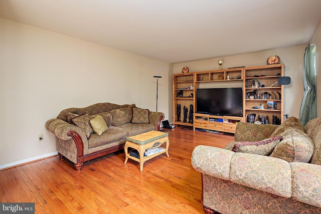 living room with hardwood / wood-style flooring