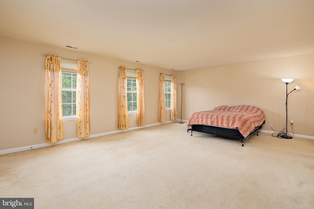 bedroom featuring carpet flooring