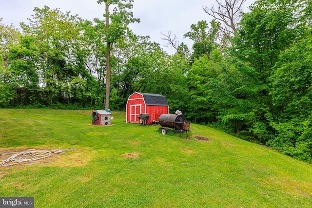 view of yard with a shed