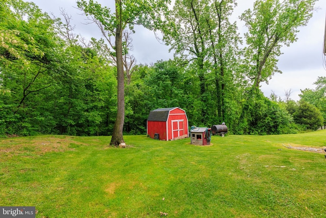 view of yard with a shed