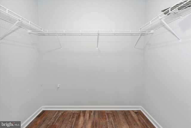 spacious closet featuring dark hardwood / wood-style flooring