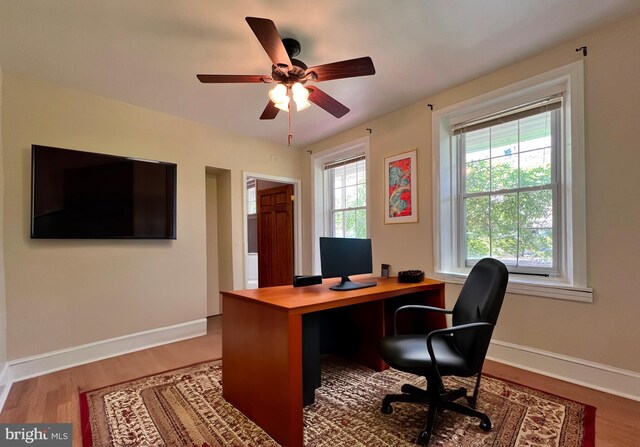 office area featuring ceiling fan, wood-type flooring, and a healthy amount of sunlight