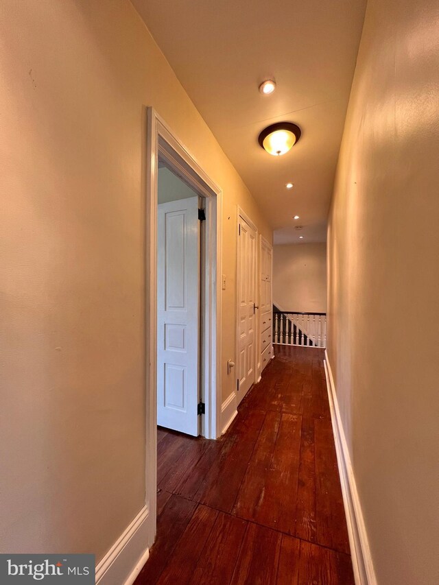 hallway featuring dark wood-type flooring