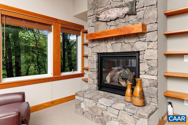 room details featuring built in features, carpet, and a fireplace