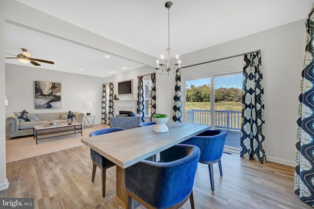 dining room featuring ceiling fan with notable chandelier and light hardwood / wood-style flooring