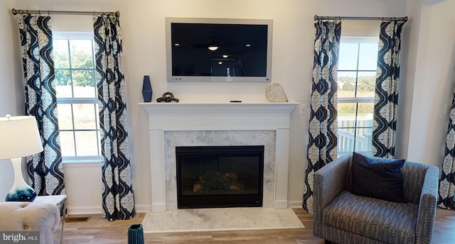 living room featuring a fireplace and wood-type flooring